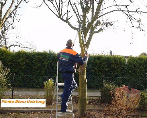 Flinke-Dienstleistung.de